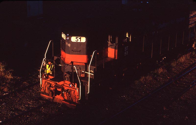 New England Geeps in Twilight
