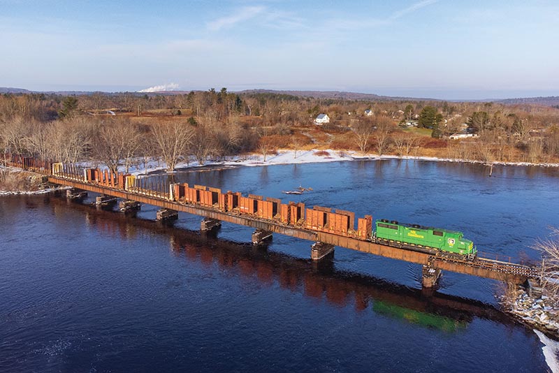 Maine Attraction: Woodland Rail