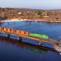 Maine Attraction: Woodland Rail