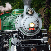 Southern 4501 Goes Green